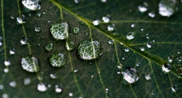 Water-Food Futures - Kestävät vesi- ja ruokatulevaisuudet